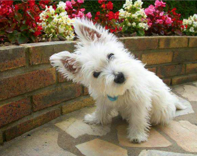 Screen Shot 2019-03-28 at 10.02.15 am.png